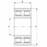 Bearing NN3068 CX