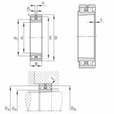 Bearing NN3080-AS-K-M-SP INA