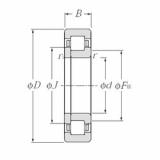 Bearing NUP205E NTN