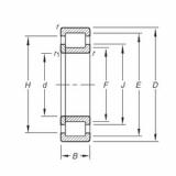 Bearing NUP206E.TVP Timken