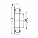 Bearing NUP205EG NACHI